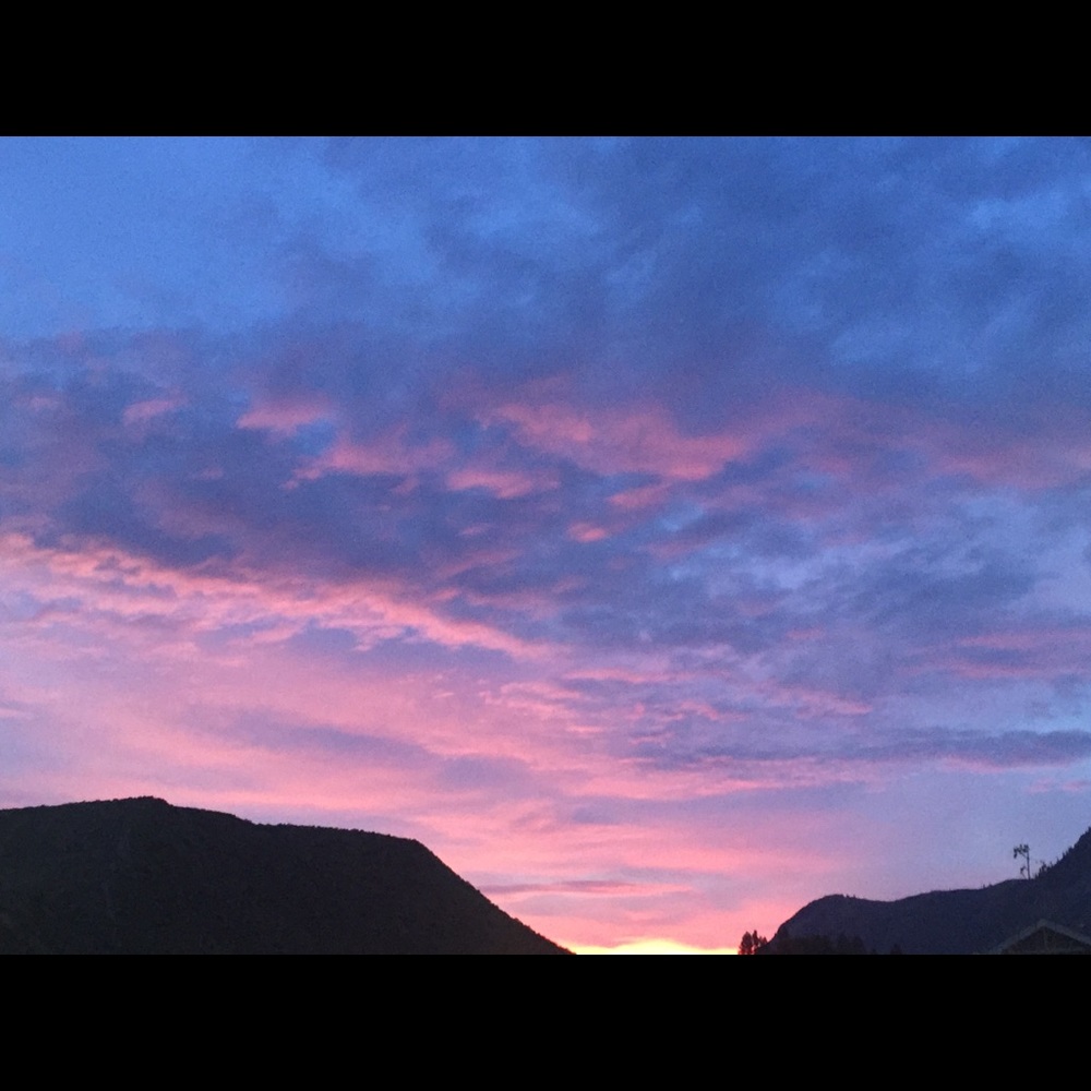 Meet your Posher, Jenn